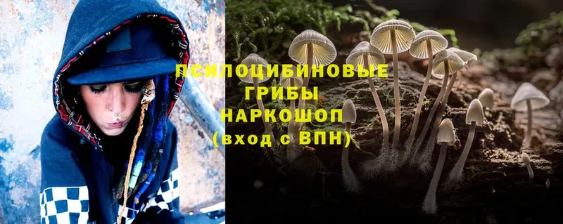 Галлюциногенные грибы Magic Shrooms  блэк спрут ссылка  Воркута 